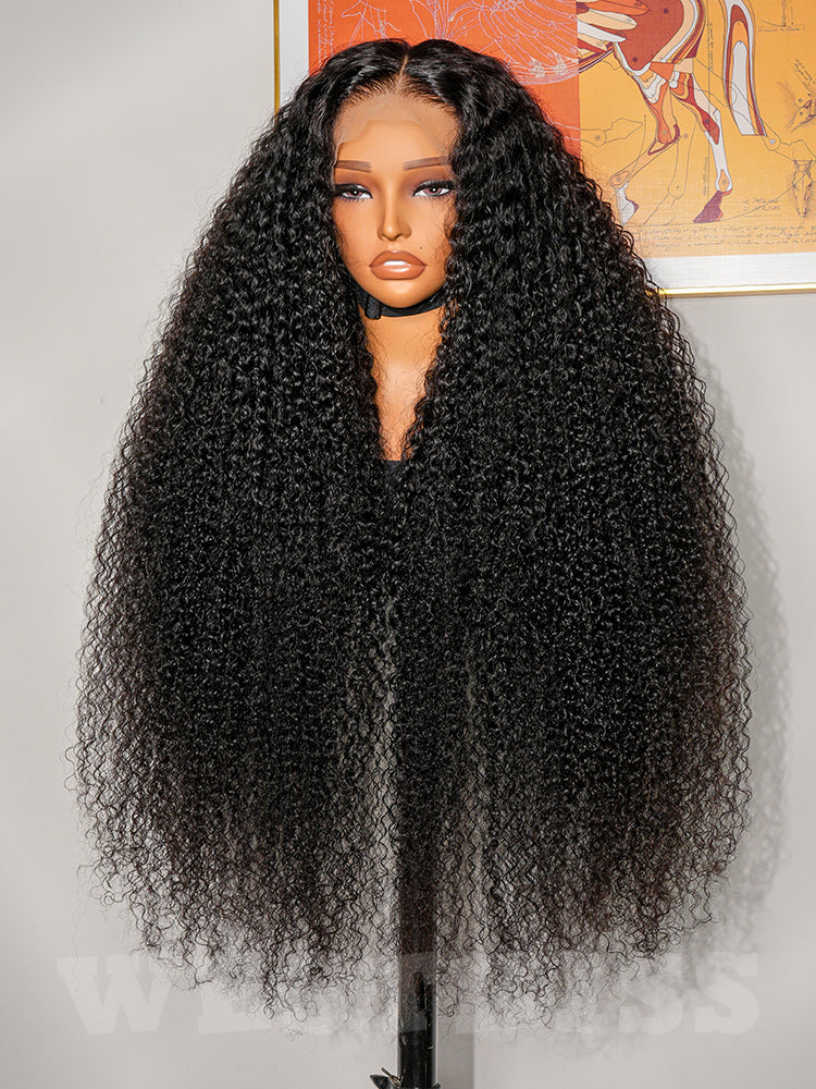 Human Hair Curly Lace Front Wigs Quality Lace Wigs Glueless Curly Hair Lace Frontal Wigs